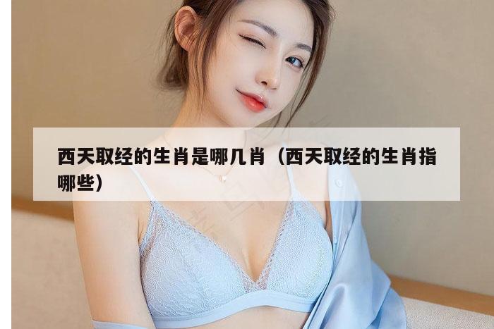 西天取经的生肖是哪几肖（西天取经的生肖指哪些）